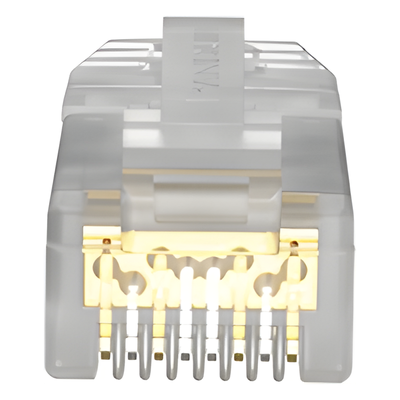 Plug RJ45 / Cat6A / UTP / 26 AWG / 50μin Oro / 100 Piezas
